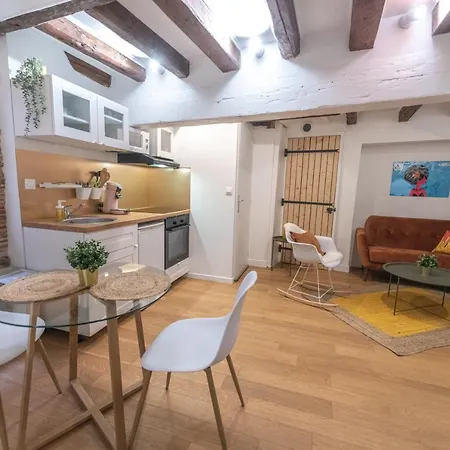 Cosylocation - Chaleureux - Hypercentre Vienne (Isere)